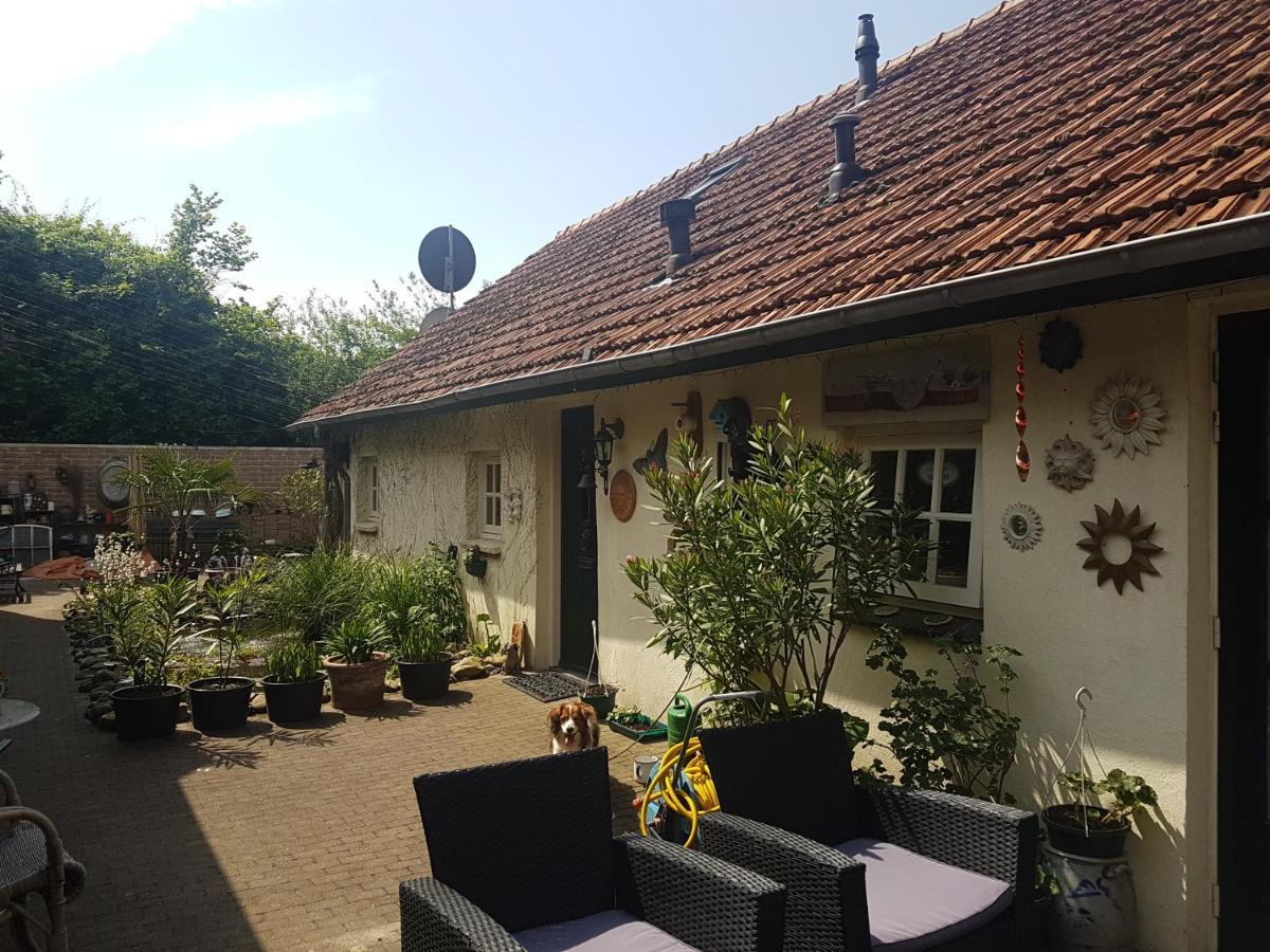 Lieshout De Boerebeemd B&B 외부 사진